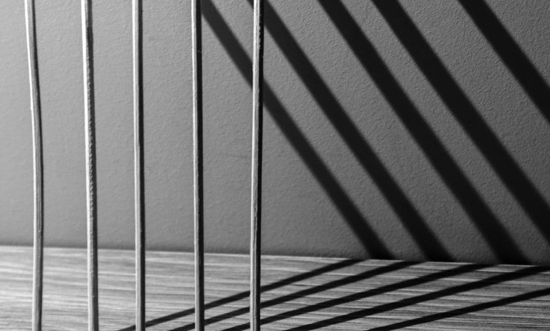 Anticipating the Storm: Elite Digital Reputation Laundering for 2025 Regulatory Scrutiny